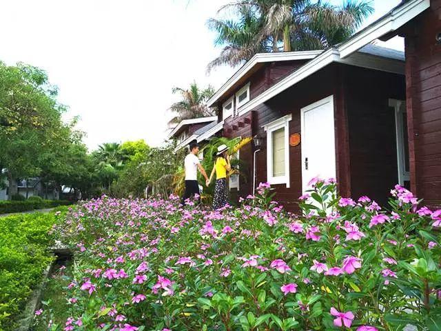 【廣東花都】188元/間=2大1小住花都香草世界木屋別墅+雙人自助早餐，打開門就是花海，仿佛進入童話世界！還有機動游戲玩喔~