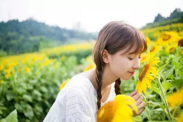 最后三天！廣州百萬(wàn)葵園特惠套票6人僅199元，花海、熱帶雨林 、冰爽水世界通玩！