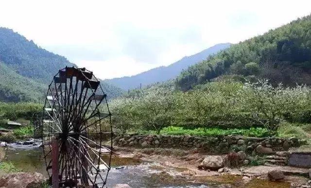 【廣州·從化】圣托利溫泉莊園,820起元/晚丨高級(jí)房(3月)特價(jià)