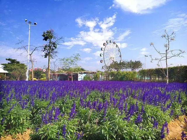 【廣東花都】188元/間=2大1小住花都香草世界木屋別墅+雙人自助早餐，打開門就是花海，仿佛進入童話世界！還有機動游戲玩喔~