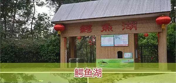 今夏玩水必備～佛山三水綠湖溫泉酒店!體驗全新親水房，僅￥699元！
