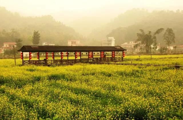 免費住花海別墅？！2天1晚暢游花都香草世界！只搶3天！國慶前可用！