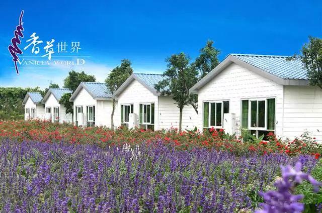 【廣東花都】188元/間=2大1小住花都香草世界木屋別墅+雙人自助早餐，打開門就是花海，仿佛進入童話世界！還有機動游戲玩喔~