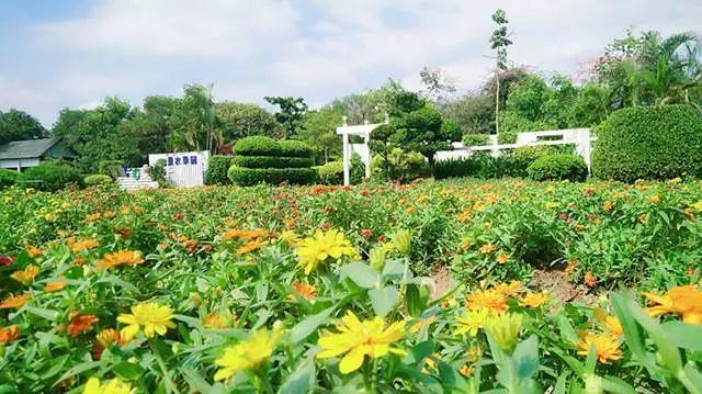 【廣東花都】188元/間=2大1小住花都香草世界木屋別墅+雙人自助早餐，打開門就是花海，仿佛進入童話世界！還有機動游戲玩喔~
